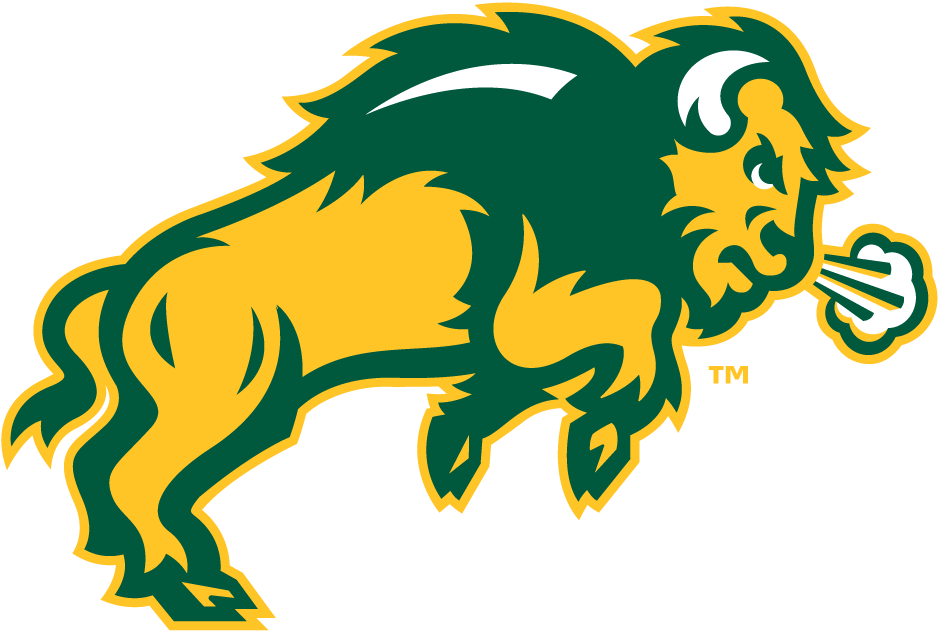 North Dakota State Bison 2012-Pres Secondary Logo diy fabric transfer